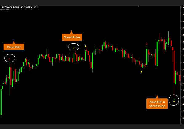 Screenshot_5.