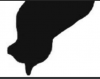 6.PNG